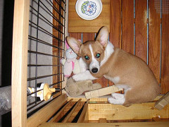 Resize of PICT0865_thumb.jpg